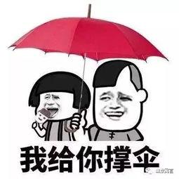 娱乐吃瓜酱还伞
