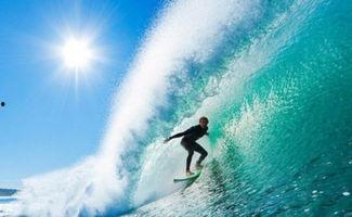 娱乐冲浪吃瓜社,明星幕后故事大曝光！