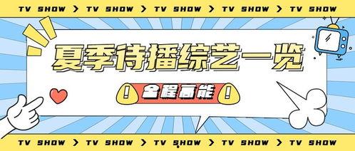 营销号娱乐吃瓜酱