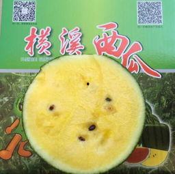 娱乐吃瓜图片图文素材,吃瓜群众视角下的明星幕后故事