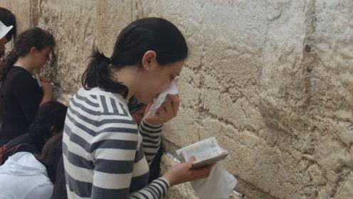 娱乐吃瓜君塘主,揭秘娱乐圈幕后故事