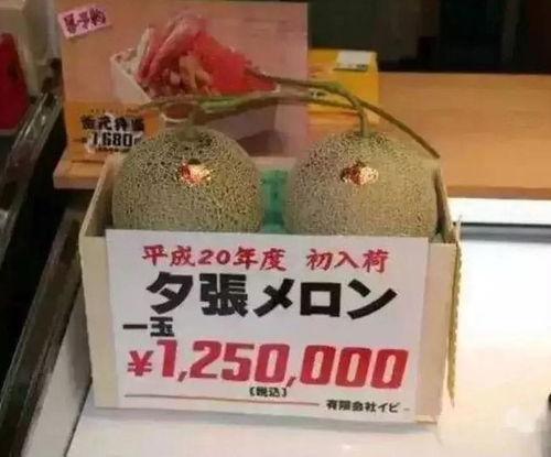 娱乐体育吃瓜圈