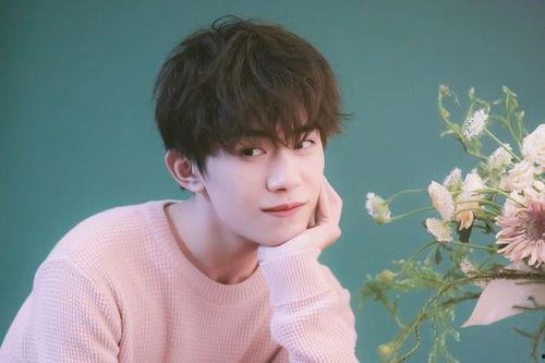 娱乐吃瓜妹易烊千玺小说,娱乐圈的甜蜜瓜田