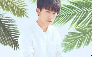 娱乐吃瓜妹易烊千玺小说,娱乐圈的甜蜜瓜田