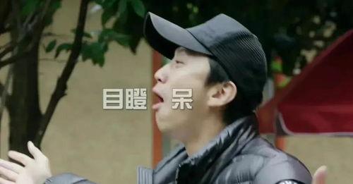 娱乐圈小说吃瓜爆料爽文超长,吃瓜爆料，爽文超长，揭秘明星背后的秘密风云