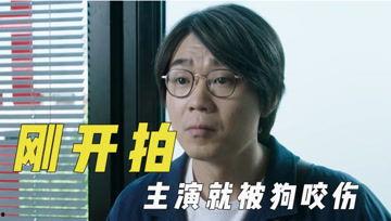 娱乐吃瓜君大号