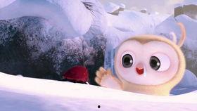 吃瓜比赛视频大全,盘点全网最热吃瓜比赛视频大全