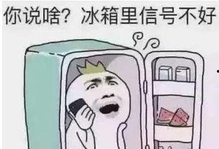 娱乐吃瓜酱不要慌